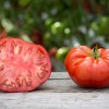 320px-Lufa_Farms_Beefsteak_Tomato