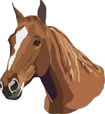Cover photo for Troxler Encourages Horse Owners to Vaccinate