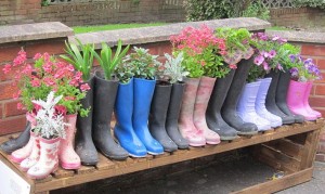 Cover photo for Guilford Gardener Course and NC State EXTENSION MASTER GARDENER Program