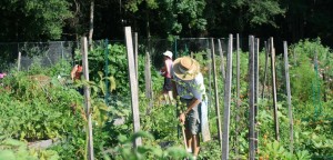 Cover photo for Registration for Spring Gardening Classes Is Now Open!