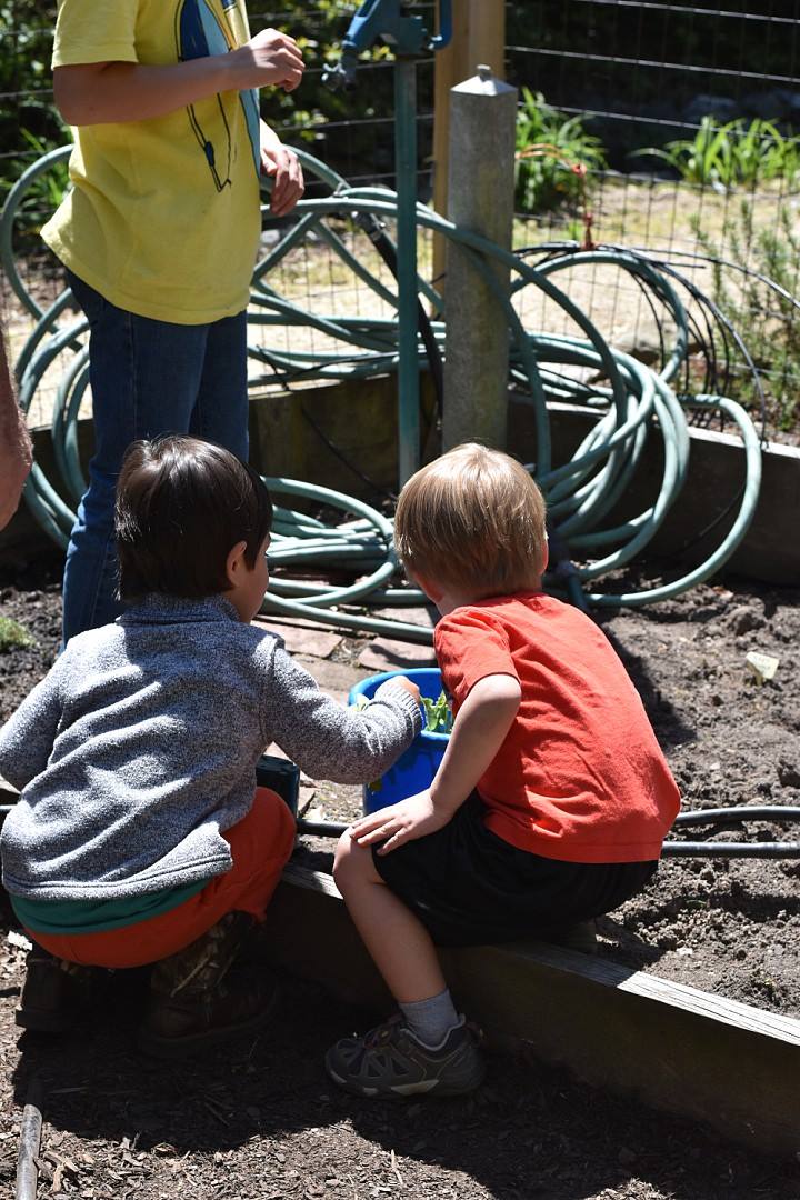 Children learning about raised bed gardening