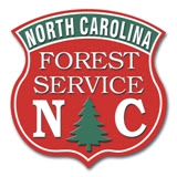 forest service