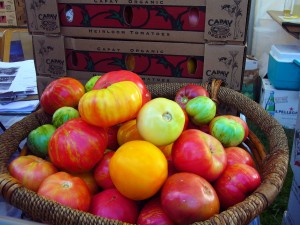Cover photo for TOMATO TASTE-ival at A&T Farm