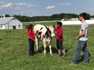 Cover photo for 76th Greensboro District Junior Dairy Show July 19th & 20th