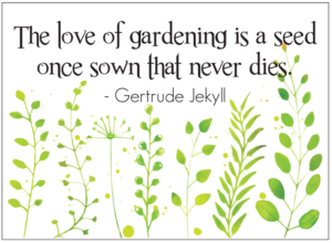 Cover photo for 17th Annual Gardening Gala & Seminar Registration Starting July 1st
