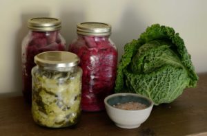 fermentation