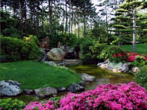 Cover photo for 2020 Extension Master Gardener Educational Classes