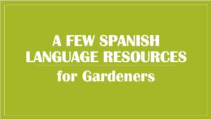 Cover photo for Spanish Language Resources