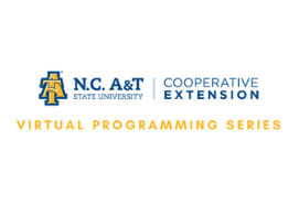 Extension Virtual Programming