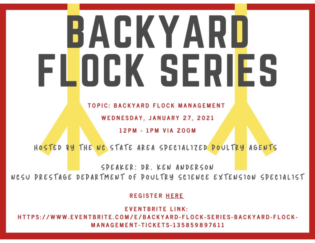 Backyard Flock Series flyer