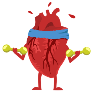 Heart lifting weights
