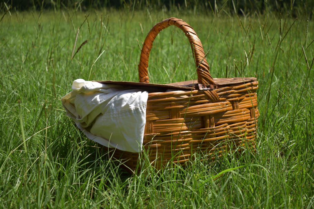 picnic basket in grass