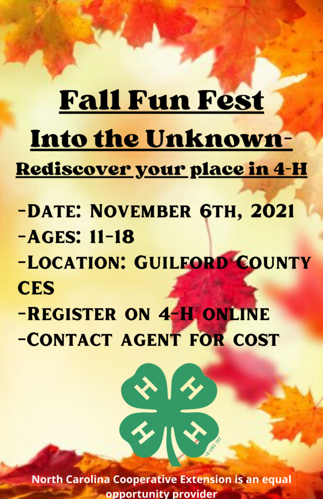 fall fest flier