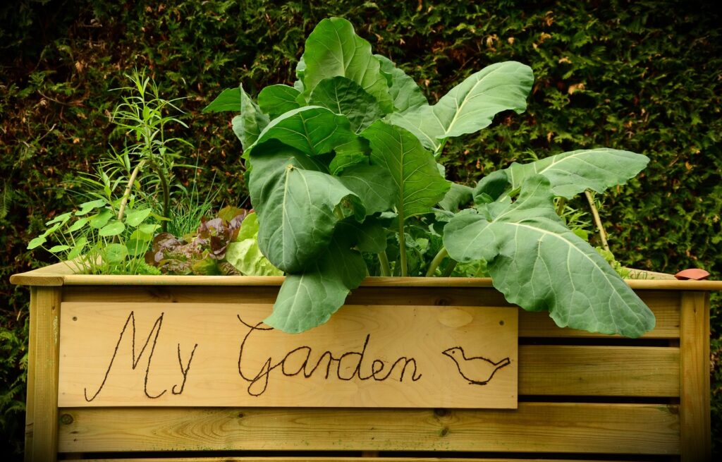 picture of container garden