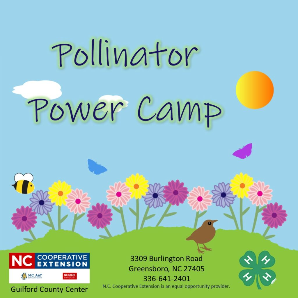 pollinator power camp graphic