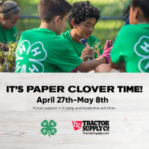 paper clover campaign flyer