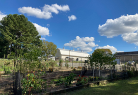 Cover photo for Guilford County Community Garden Tours 2022