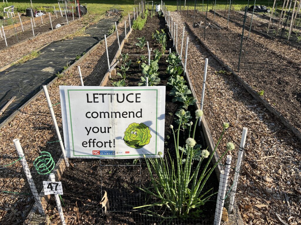 A sign in a garden that says Lettuce Commend your Effort