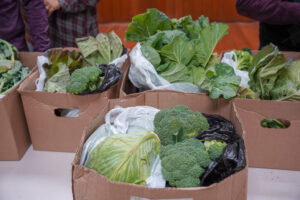 Produce used for the Farm Fresh Distribution