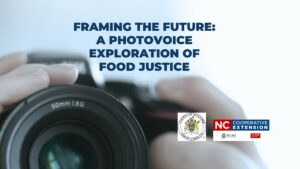 Cover photo for Participants Wanted for Photovoice Community Research Project