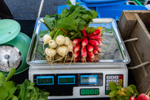 bunches of radishes and turnips on a scale