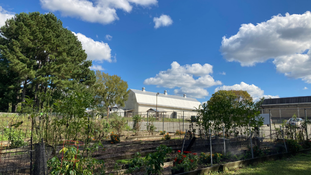 Community Garden image