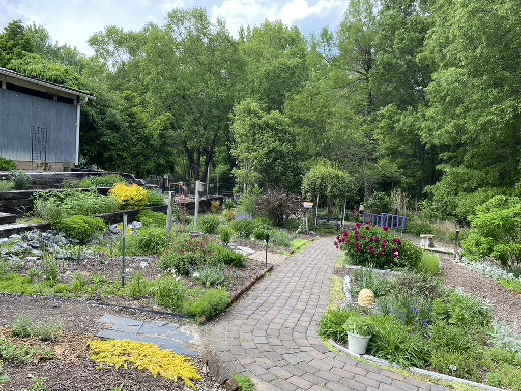 pollinator garden