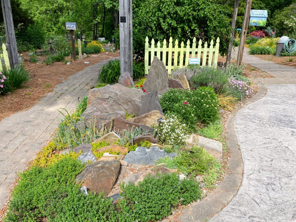 crevice garden