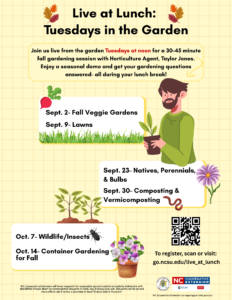 Flyer for Live at Lunch: Tuesdays in the Garden